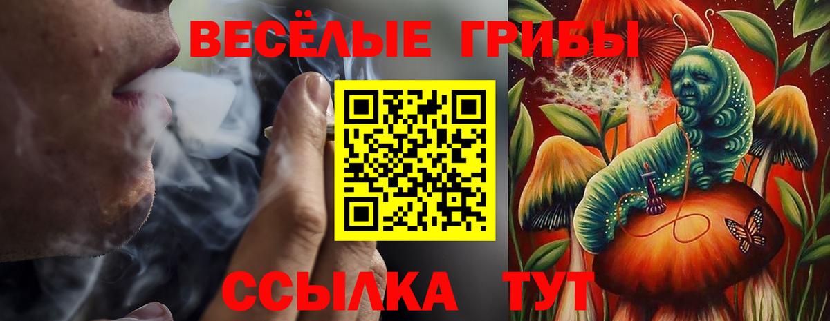 где продают   Псилоцибиновые грибы MAGIC MUSHROOMS  Вход с VPN  Севастополь 